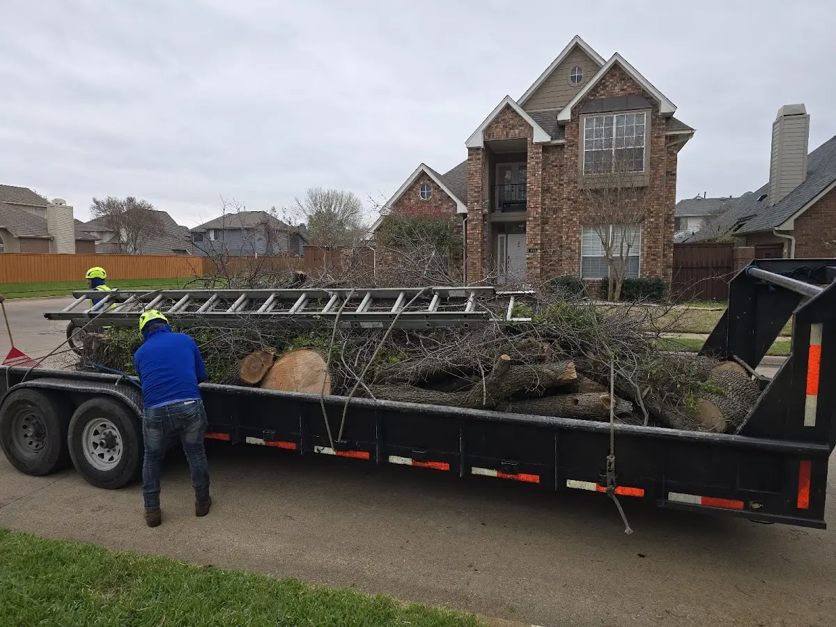 Expert Lot Clearing with proper safety equipment in Brumley